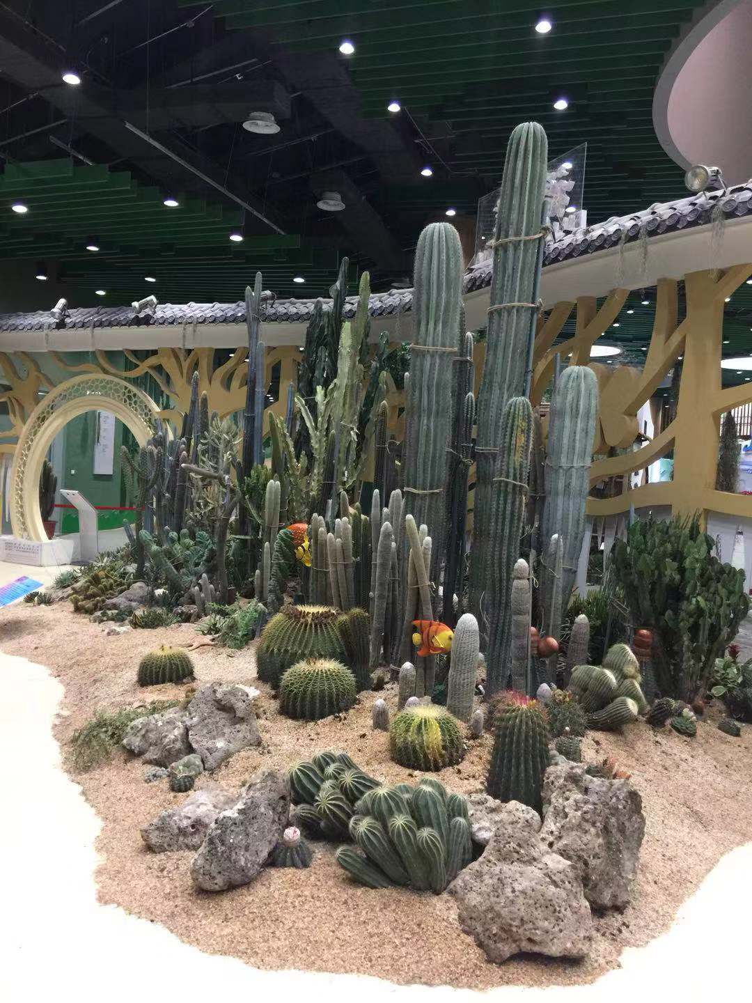 食品饮料品牌案例