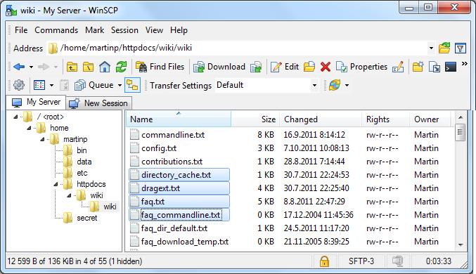 Windows Explorer 界面
