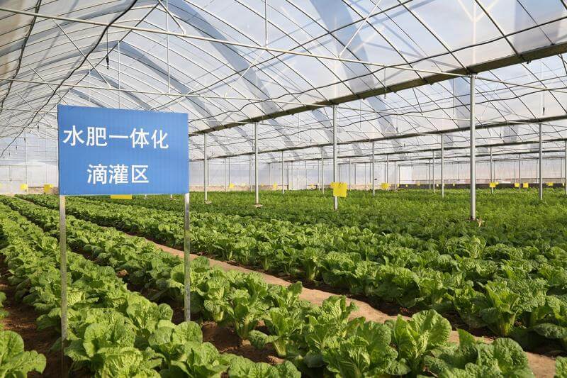 智能农业物联网项目