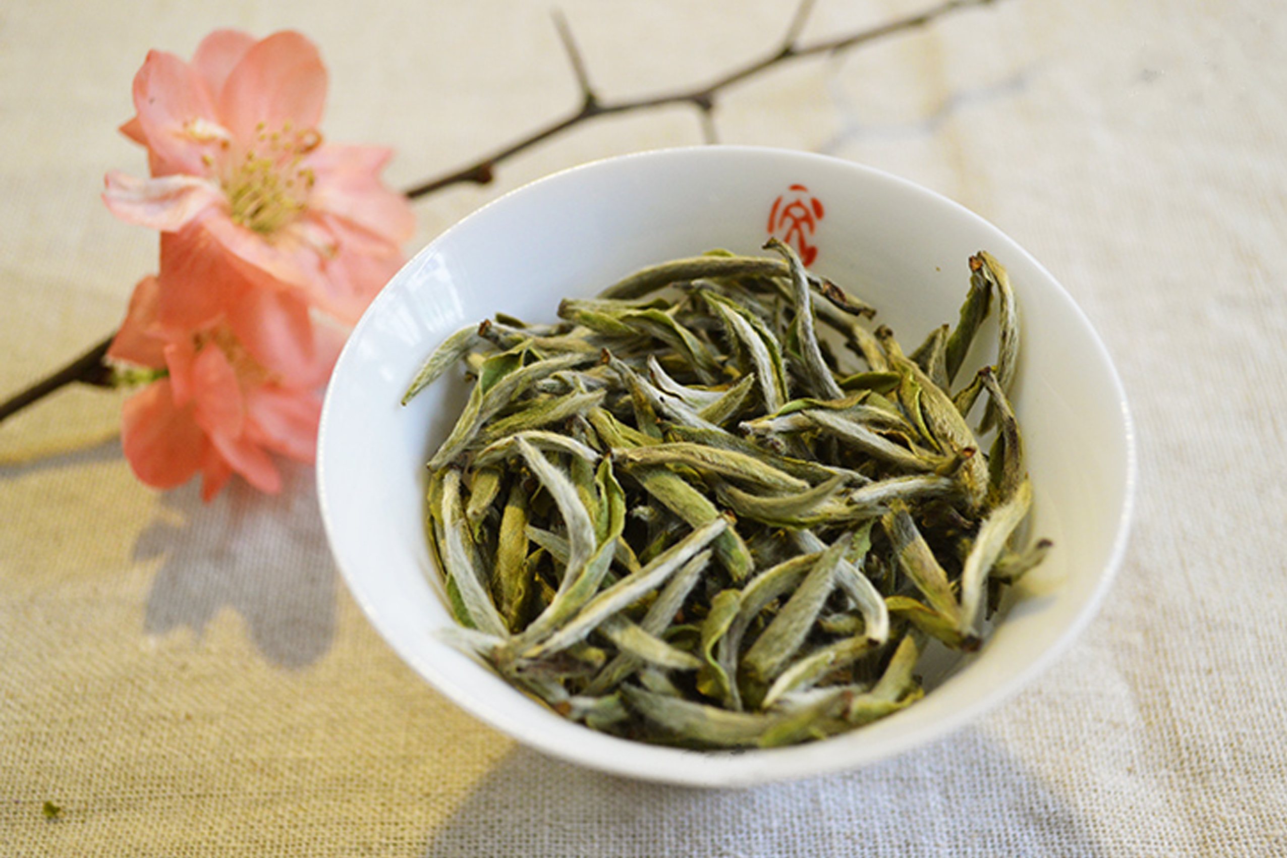 启山秘境-白毫银针