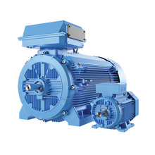 低压特定应用电机