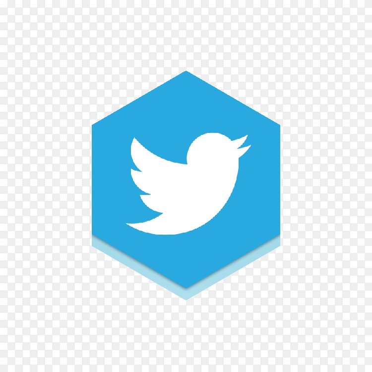 Twitter Logo