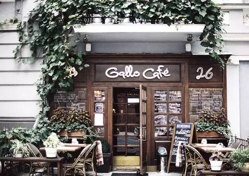 QIMA CAFE