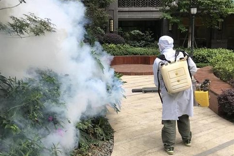 事業所向け除虫サービス